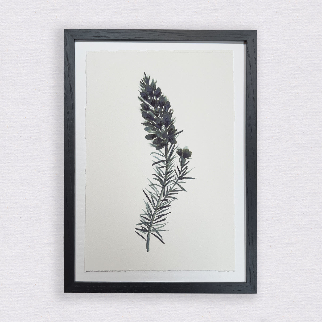 Cornish Heath Print