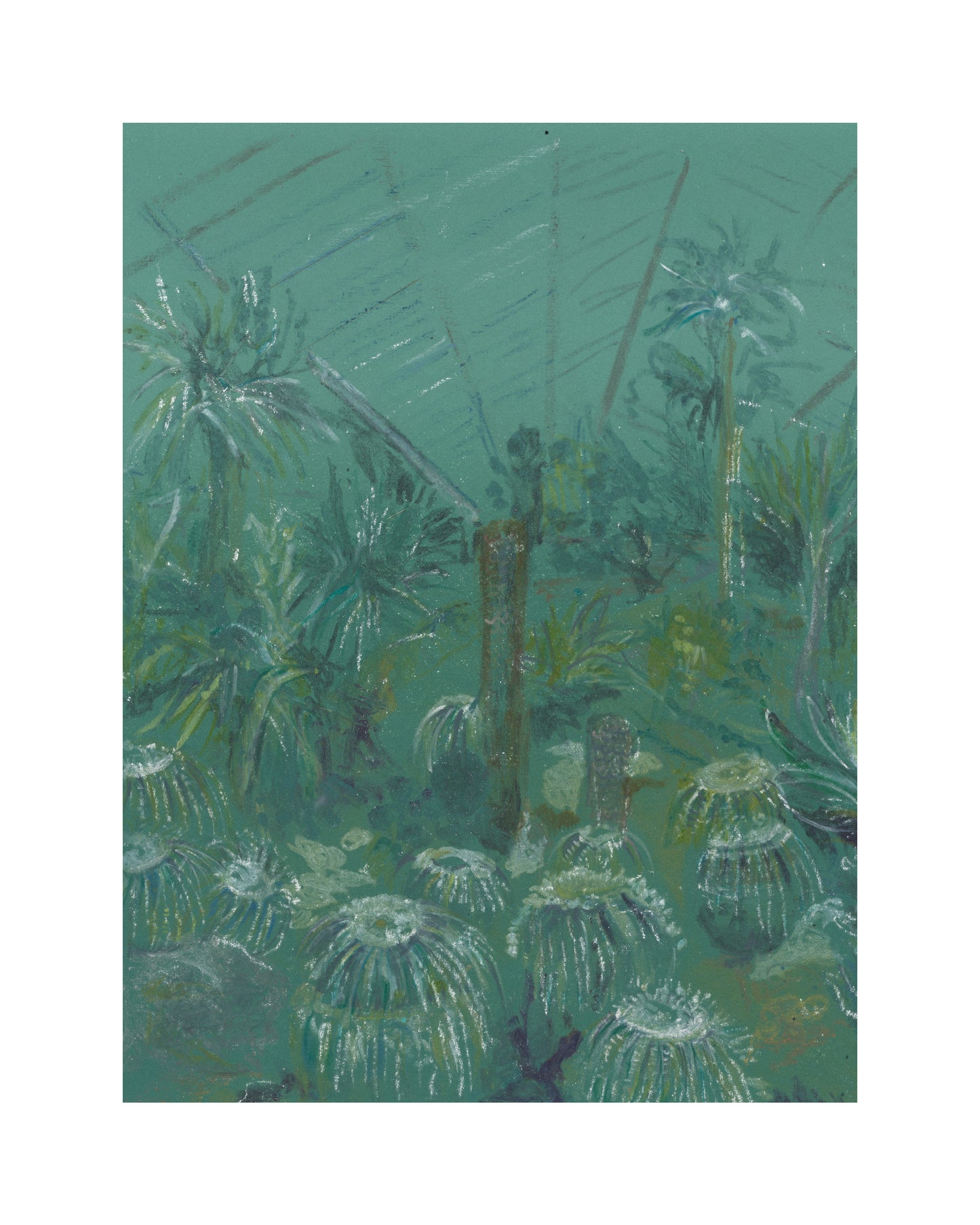 Kew Cactus Print
