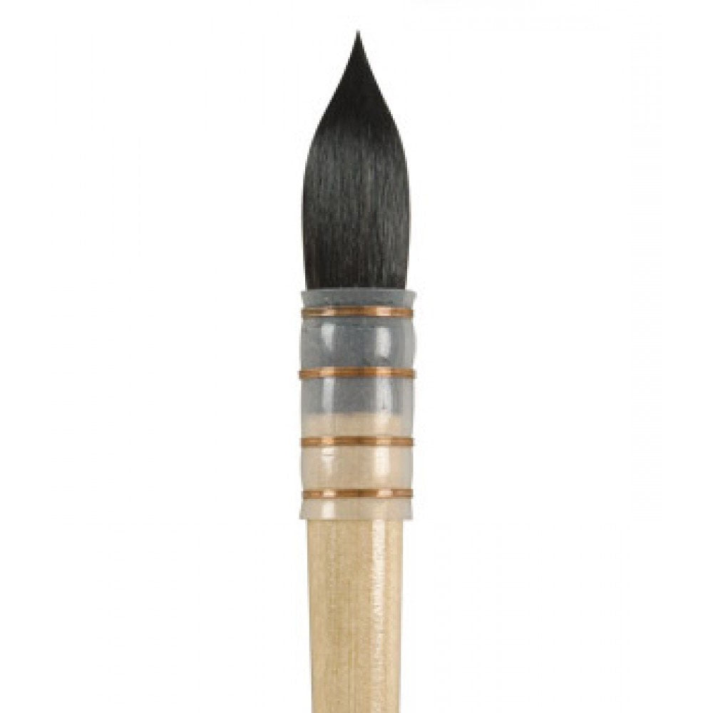 Proarte Renaissance Squirrel Mop Brush