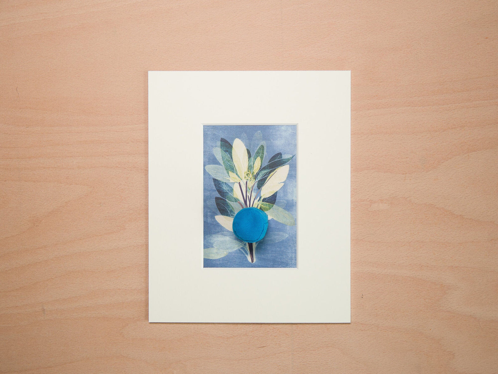A botanical print in a cream conservation window mount with generous borders
