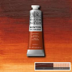 W&N Winton Oil Paint 37ml