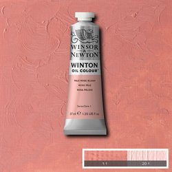 W&N Winton Oil Paint 37ml