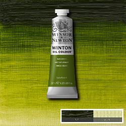 W&N Winton Oil Paint 37ml