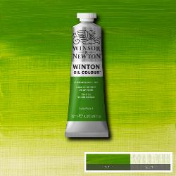 W&N Winton Oil Paint 37ml