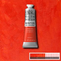 W&N Winton Oil Paint 37ml
