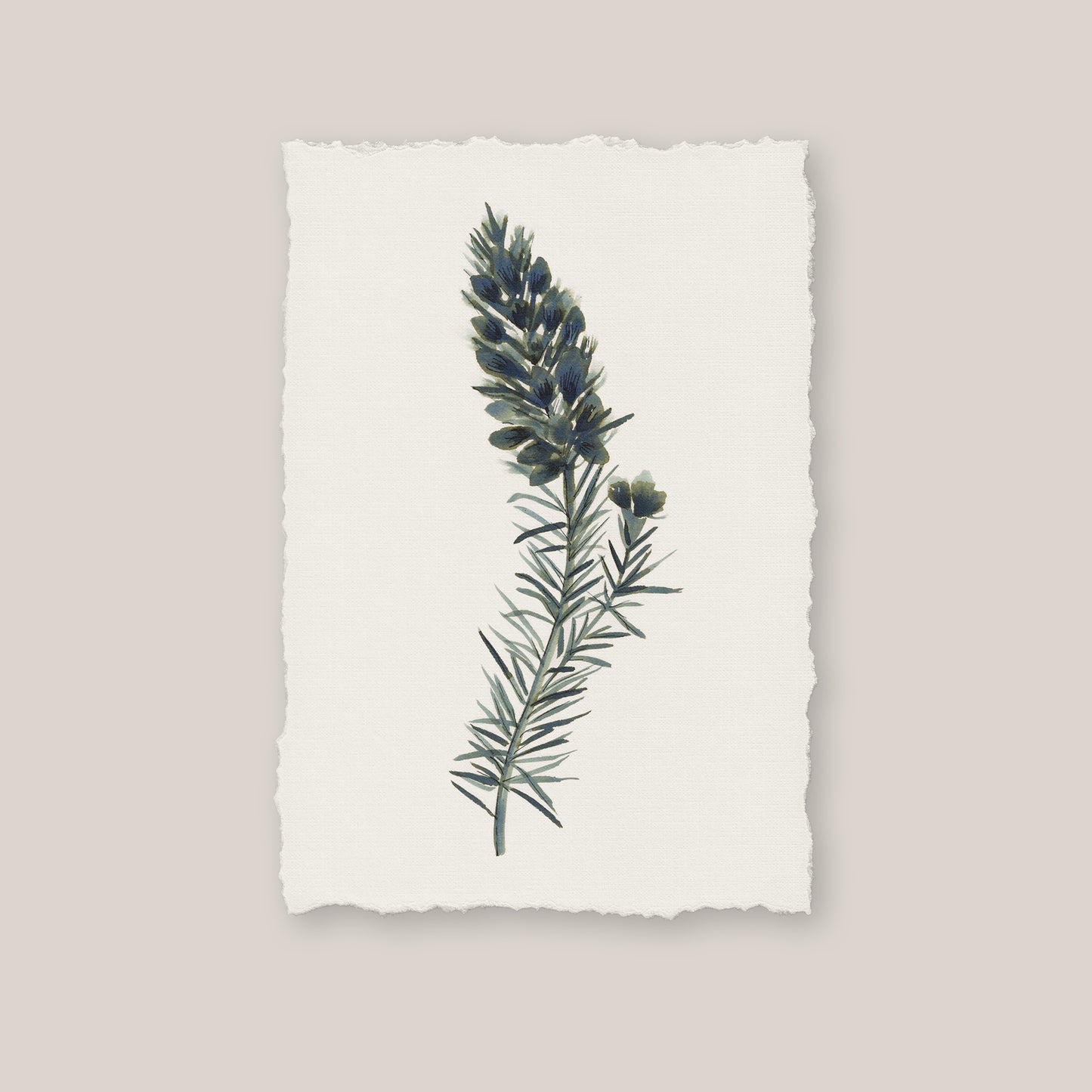 Cornish Heath Print
