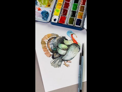 Rosa Gallery Artist's Watercolour Set of 12
