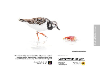 Permajet Portrait White 285gsm Inkjet Paper