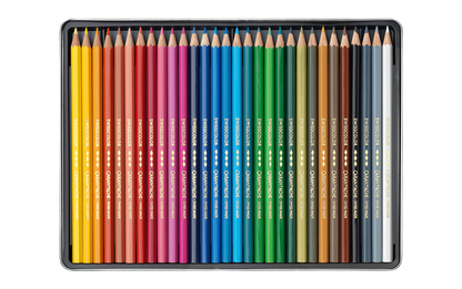 Caran D'Ache Swisscolor Water-Soluble Colour Pencils