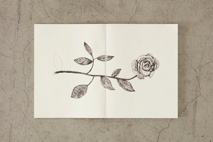 Midori MD Notebook Blank